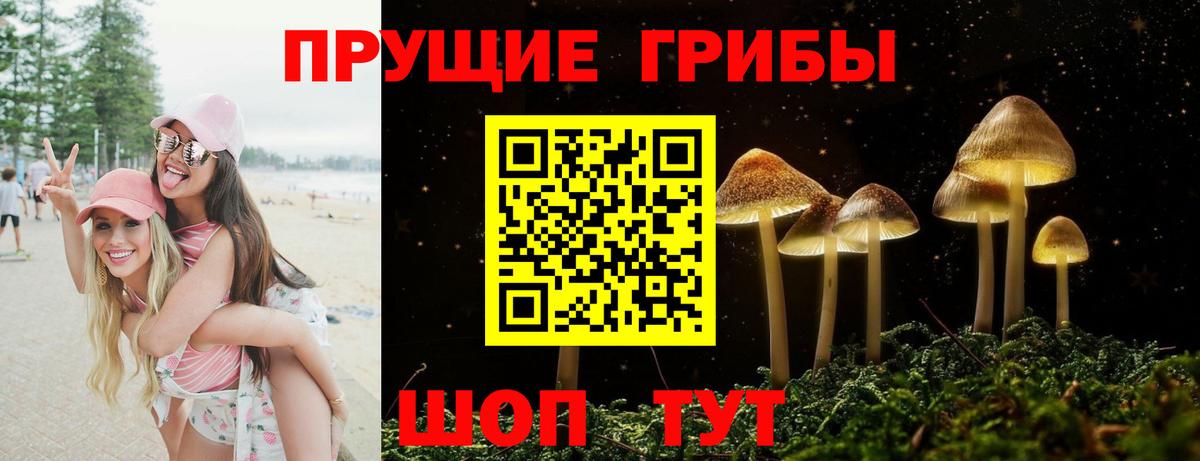 Новосибирск  Галлюциногенные грибы мухоморы  Вход с VPN 
